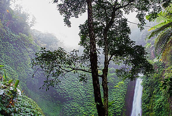 img-07-free-img اقتصاد