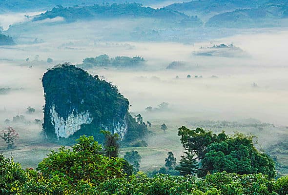 img-08-free-img اقتصاد