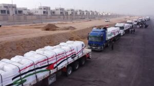 fb_img_17400702132424020664419495100884-300x169 في إطار توجيهات القيادة السياسية واستمرارًا للدور المصري الريادي في دعم الأشقاء الفلسطينيين،