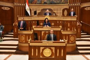 fb_img_17422164238121492776141741064477-300x200 وزيرة التضامن الاجتماعي تشارك في جلسة مجلس الشيوخ حول مناقشة تقرير "مستقبل سياسات الحماية الاجتماعية من الاحتياج إلى التمكين"