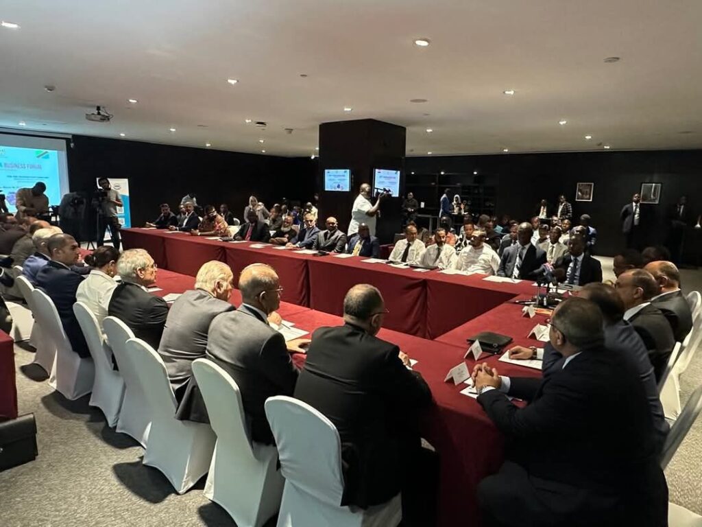 fb_img_17423769860699047222472825418101-1024x768 وزير الخارجية والهجرة يفتتح منتدى الأعمال المشترك المصرى التنزانى