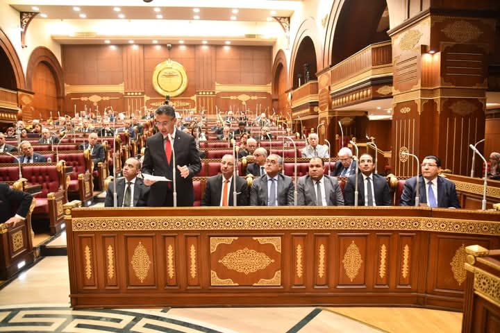 fb_img_17439464047955276826850890086189 الدولة المصرية بقيادة فخامة الرئيس عبد الفتاح السيسي تولي ملف الأمن الغذائي والاستقرار المجتمعي أولوية قصوى