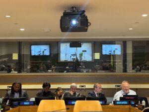 fb_img_17441940561173190376306459268031-300x225 نائب وزير الصحة تشارك افتراضيًا في الدورة 58 للسكان والتنمية بالأمم المتحدة وتستعرض التجربة المصرية في تنمية الأسرة