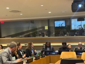 fb_img_17441940582843646319852874262986-300x225 نائب وزير الصحة تشارك افتراضيًا في الدورة 58 للسكان والتنمية بالأمم المتحدة وتستعرض التجربة المصرية في تنمية الأسرة