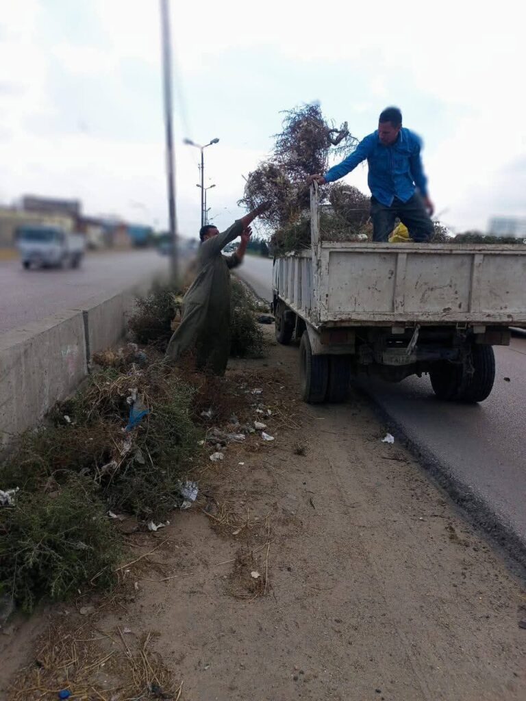 fb_img_17444508141258484151308993556322-768x1024 تنفيذاً لتوجيهات معالي الدكتورة / جاكلين عازر - محافظ البحيرة بضرورة الاهتمام الامثل بمنظومة النظافة بكافة مدن ومراكز المحافظة للحفاظ على المظهر الجمالى والحضارى .