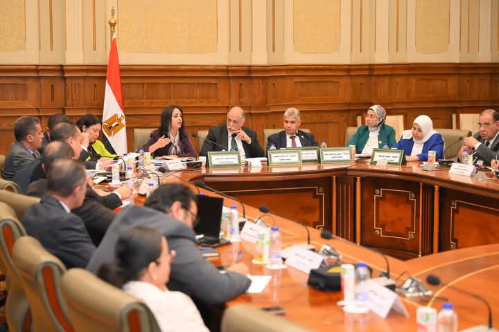 fb_img_17446543628625950742435148692667 وزيرة التضامن الاجتماعي أمام لجنة التضامن الاجتماعي والأسرة والأشخاص ذوي الإعاقة بمجلس النواب