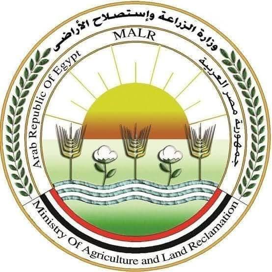 fb_img_17492854569495666736471438416760 وزير الزراعة يتابع أعمال لجان المرور على شوادر وأماكن بيع الأضاحي وجهود توعية المواطنين