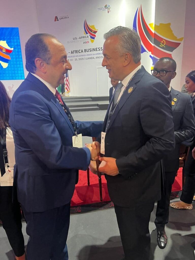 fb_img_17507603626654543955735072080370-768x1024 وزير قطاع الأعمال العام يلتقي نائبة رئيس أنجولا وعددًا من الوزراء الأفارقة لبحث تعزيز التعاون المشترك