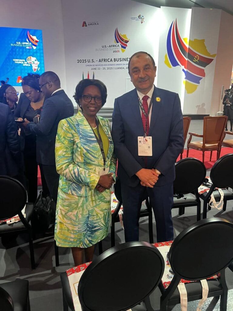 fb_img_17507603679693951222424167217783-768x1024 وزير قطاع الأعمال العام يلتقي نائبة رئيس أنجولا وعددًا من الوزراء الأفارقة لبحث تعزيز التعاون المشترك