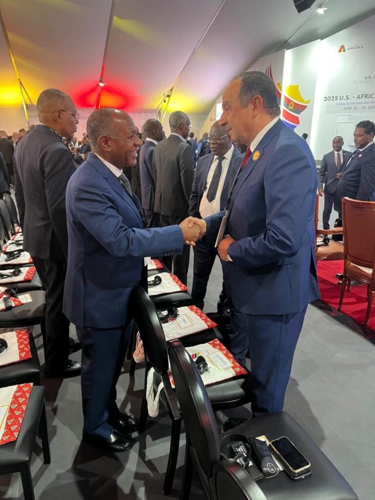 fb_img_17507603759647160249924672134336-768x1024 وزير قطاع الأعمال العام يلتقي نائبة رئيس أنجولا وعددًا من الوزراء الأفارقة لبحث تعزيز التعاون المشترك