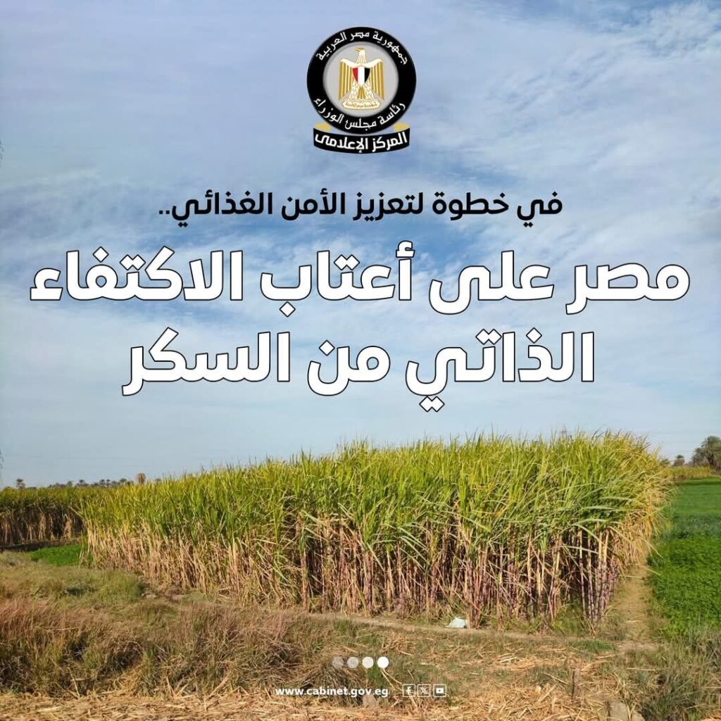 fb_img_1750928877473623160764932214436-1024x1024 المركز الإعلامي لمجلس الوزراء: مصر على أعتاب الاكتفاء الذاتي من السكر