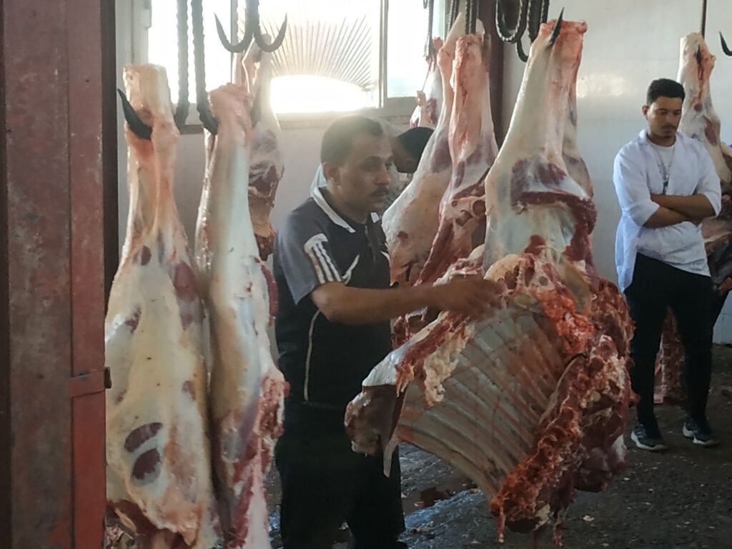 img_٢٠٢٥٠٦٠٩_١١٣٥٢٢2890974216625881203-1024x768 جمعية الأورمان بقيادة اللواء ممدوح شعبان رئيس مجلس الإدارة وفريق العمل المميز بقطاع البحيرة. استمر لليوم الرابع على التوالي في توصيل الفرحه للمستفيدين المستحقين من أبناء المحافظة .فقد استفادت حوالي تسعة آلاف أسرةعلى مدار الاربعة ايام فقد تم ذبح 48 عجل بواقع 12 عجل يوميا .