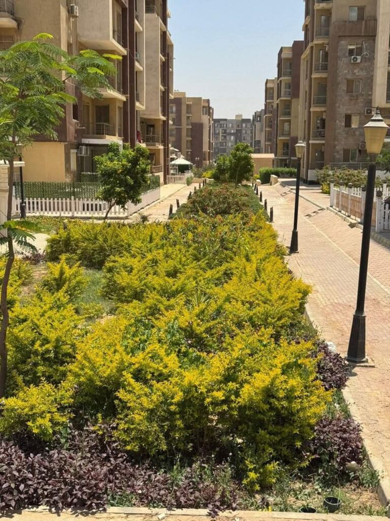 fb_img_17564583570076827002222850730767-768x1024 وزير الإسكان: الأحد المقبل..بدء تسليم دفعة جديدة من وحدات مشروع "جنة" بالقاهرة الجديدة