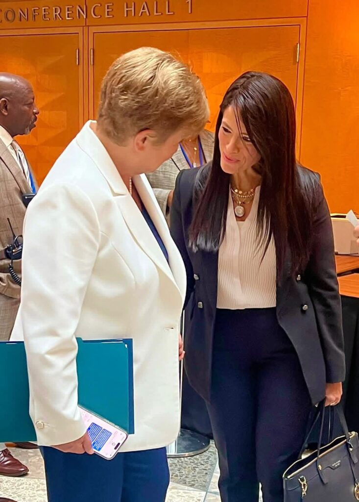 fb_img_17605179570548765911970311349457-733x1024 وزيرة التخطيط والتنمية الاقتصادية والتعاون الدولي تُلقي كلمة مصر بالاجتماع الوزاري لمجموعة الـ 24 الحكومية الدوليةالمعنية بالشؤون النقدية والتنمية الدولية (G-24)