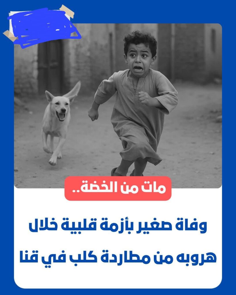 img-20251013-wa0001967039132389819579-819x1024 قلبه مستحملش