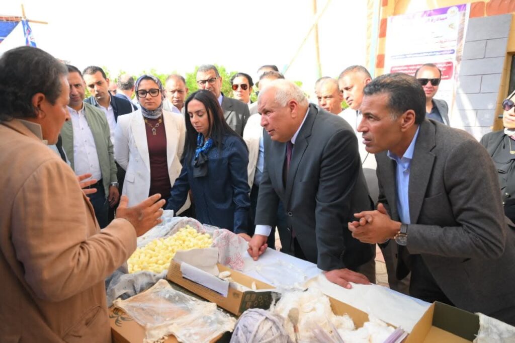 fb_img_17639121975422947343817598560560-1024x682 وزيرة التضامن الاجتماعي تتفقد وحدة إنتاج الحرير خلال زيارتها لمحافظة الوادي الجديد