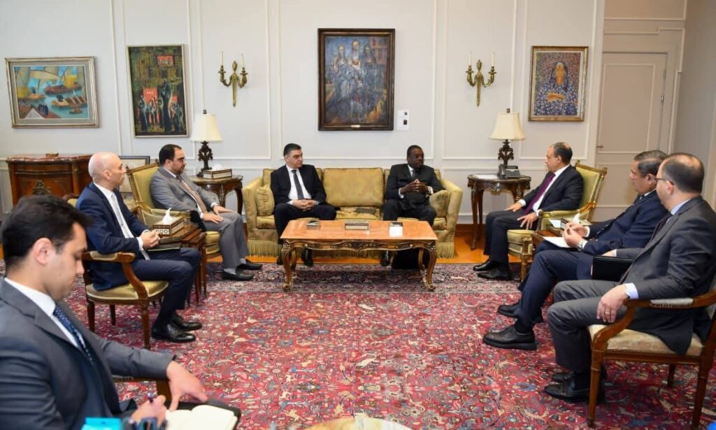 fb_img_17670064661295910128214830195806-1024x615 وزير الخارجية يؤكد دعم مصر لتعزيز منظومة الصحة والأمن الدوائي في أفريقيا