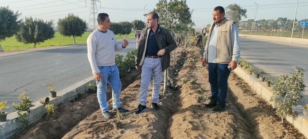 fb_img_17705517014137234835927921610805-1024x461 محافظ كفرالشيخ يتابع أعمال التشجير والتجميل بمحور «30 يونيو» ضمن مبادرة «كفرالشيخ للأخضر» في إطار خطة متكاملة لتطوير مداخل المحافظة