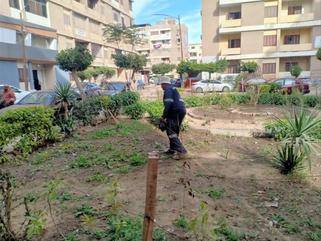 fb_img_17705519259251249702721381618132-1024x768 محافظ كفرالشيخ يتابع أعمال النظافة والتجميل بعاصمة المحافظة ضمن مبادرة «كفرالشيخ نظيفة»