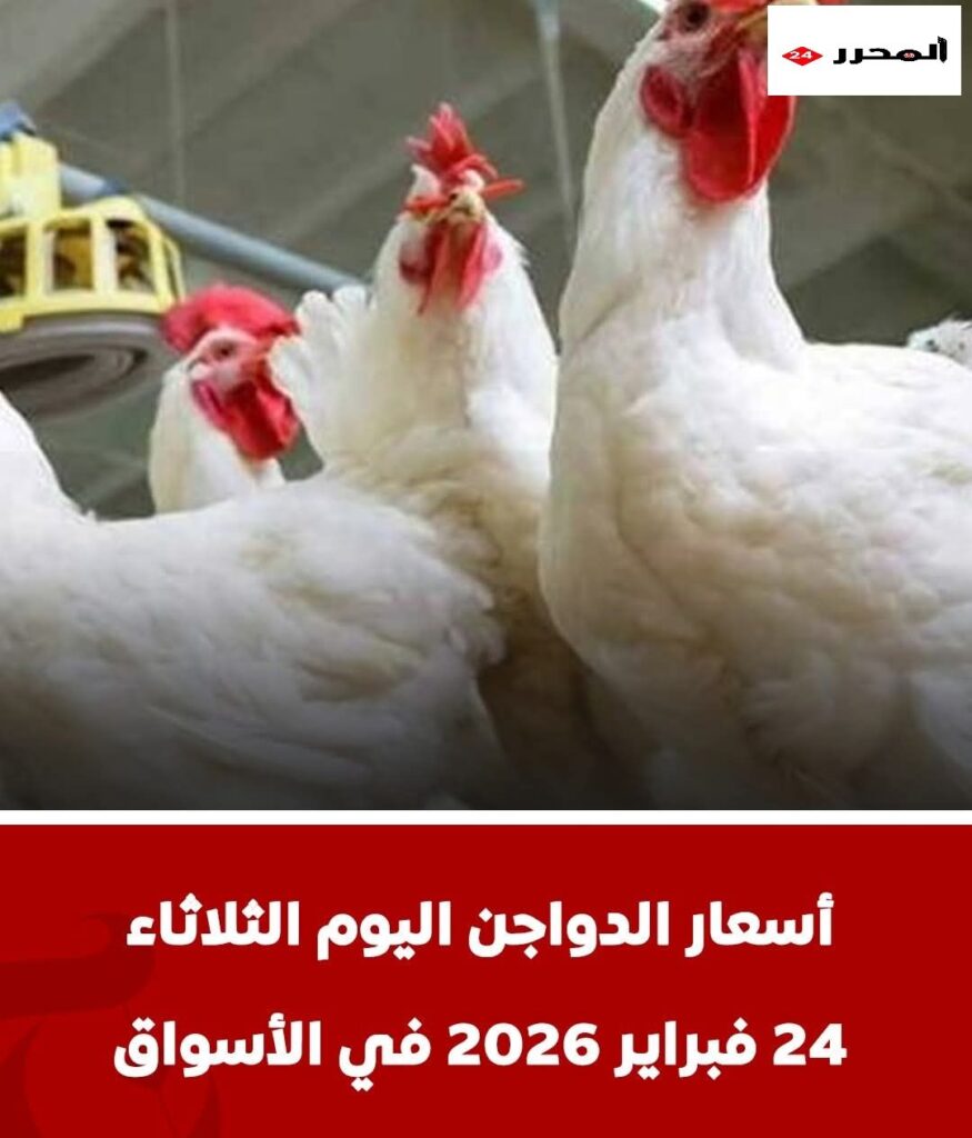 img_17719185819937909155852012804570-875x1024 أسعار الدواجن اليوم الثلاثاء 24 فبراير 2026 في الأسواق