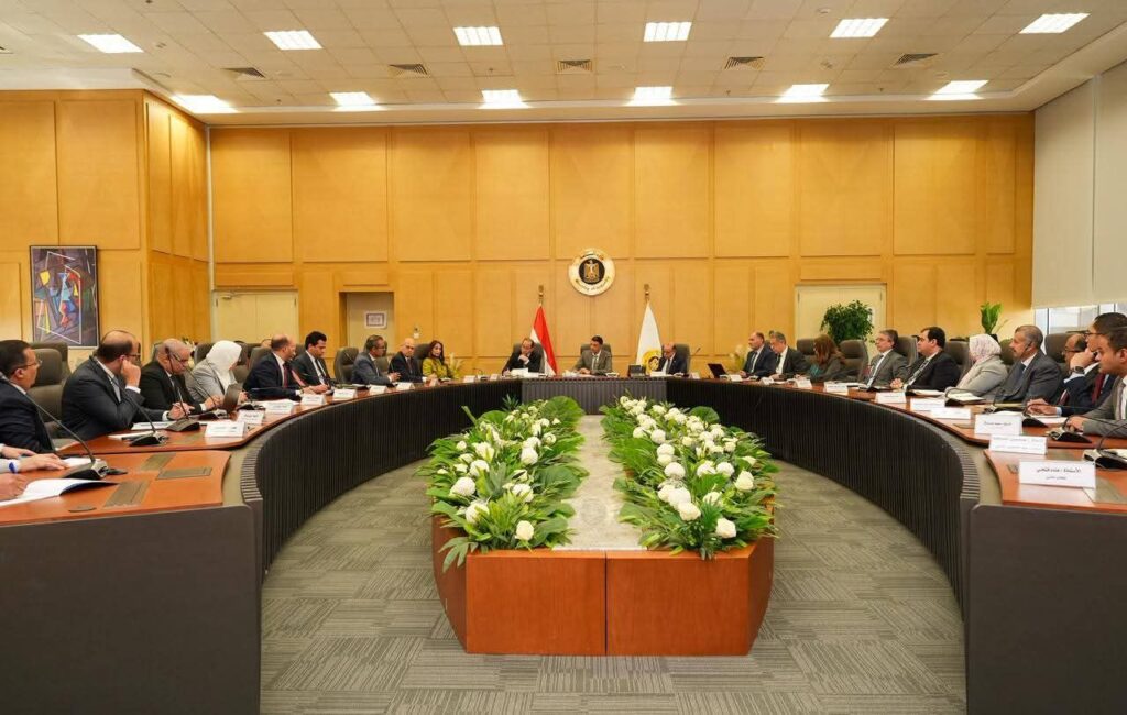 fb_img_17727001698034811126289067766615-1024x650 وزير الصناعة يبحث مع وزيري الاستثمار والتجارة الخارجية والمالية محاور البرنامج الوطني لتنمية صناعة السيارات