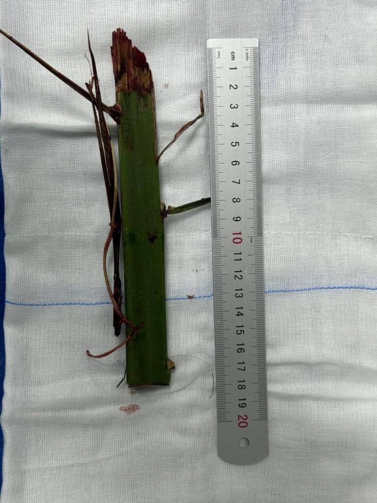 fb_img_17730573082553098265551016692206-768x1024 في إطار توجيهات رئيس أمانة المراكز الطبية المتخصصة، الأستاذة الدكتورة/ مها إبراهيم، وإشراف السيد الدكتور/ أحمد سمير فودة