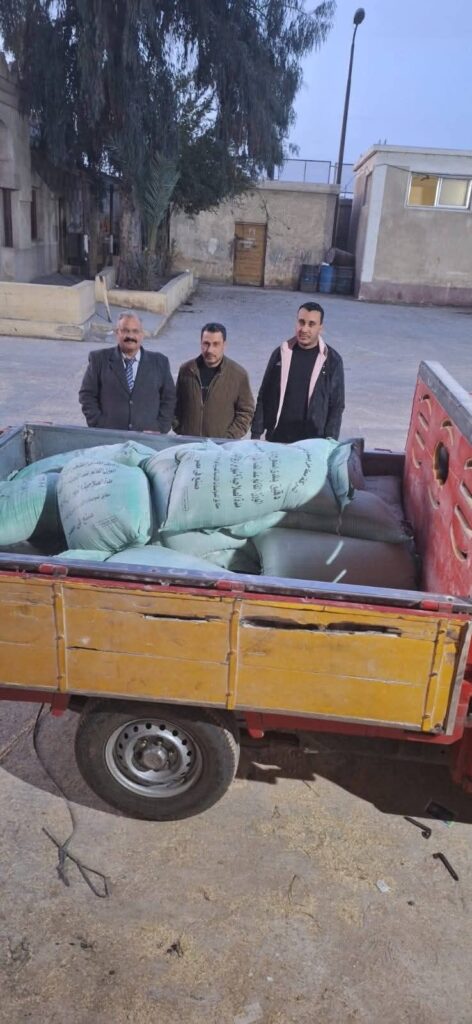 fb_img_17733907650221682324144521091297-472x1024 قبل تهريبها للسوق السوداء.. ضبط 23 شيكارة دقيق بلدي مدعم في حملات تموينية بالمحلة الكبرى