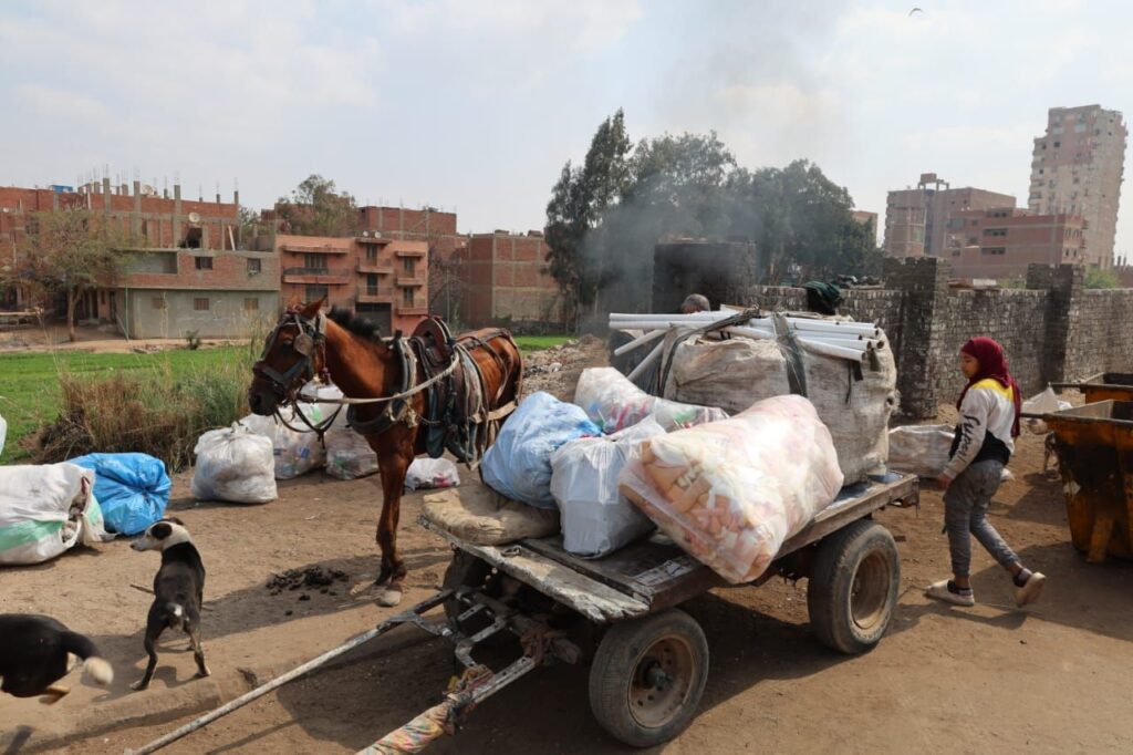 img-20260305-wa00476408408212091456055-1024x682 محافظ الجيزة يجري جولة ميدانية للوقوف على حالة النظافة والإشغالات بحي الوراق ومراكز أوسيم ومنشأة القناطر