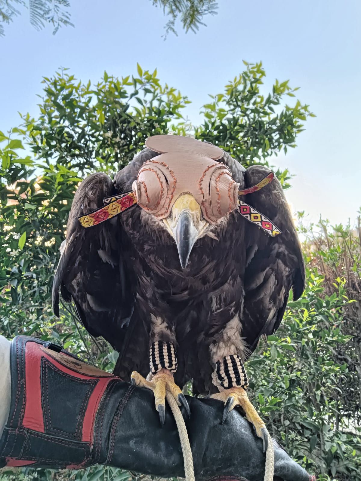 للحفاظ على ثروات مصر الطبيعية و تنوعها البيولوجى