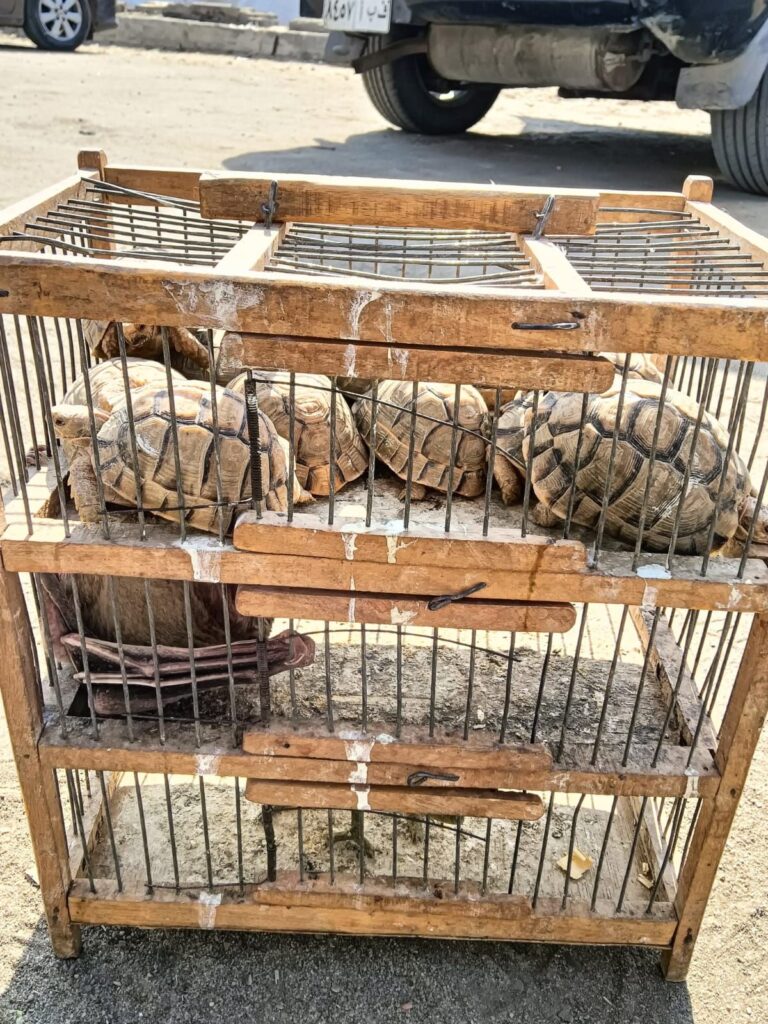 img-20260306-wa0007762701994474990489-768x1024 للحفاظ على ثروات مصر الطبيعية و تنوعها البيولوجى