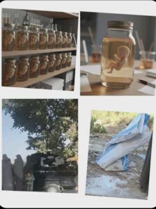 img-20260313-wa00261829357969836067735-224x300 جناية في حضرة النيل: حين تُغتال البراءة في عتمة الإهمال