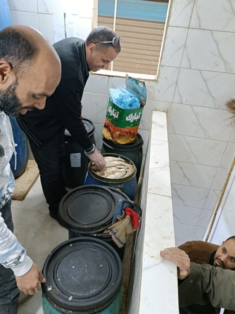 img-20260318-wa00106204314259748078121-768x1024 محافظة الجيزة تضبط 9 أطنان من الأسماك المملحة المدخنة وأغذية فاسدة ولحوم مذبوحة خارج المجازر قبل عيد الفطر