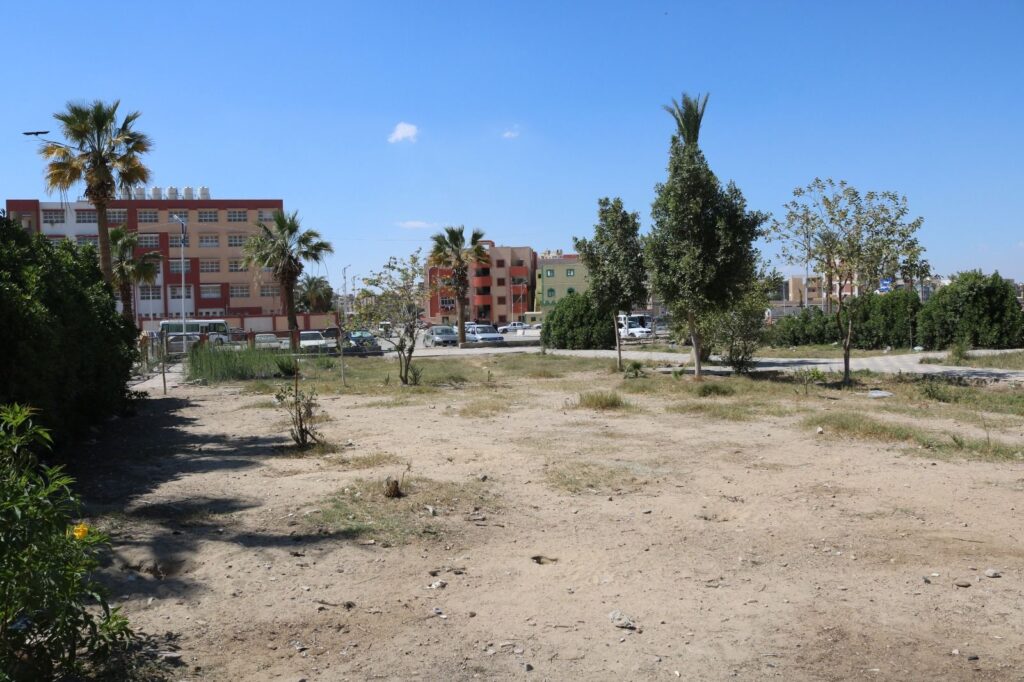 10010236272985666435197407818-1024x682 محافظ السويس يتفقد عددا من الحدائق العامة ويكلف بتطويرها