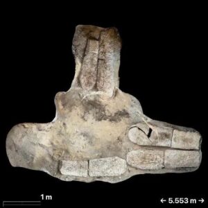 fb_img_1776508181063962569239371760536-300x300 كشف أثري جديد في المنيا يعيد إحياء أسرار البهنسا في العصر الروماني