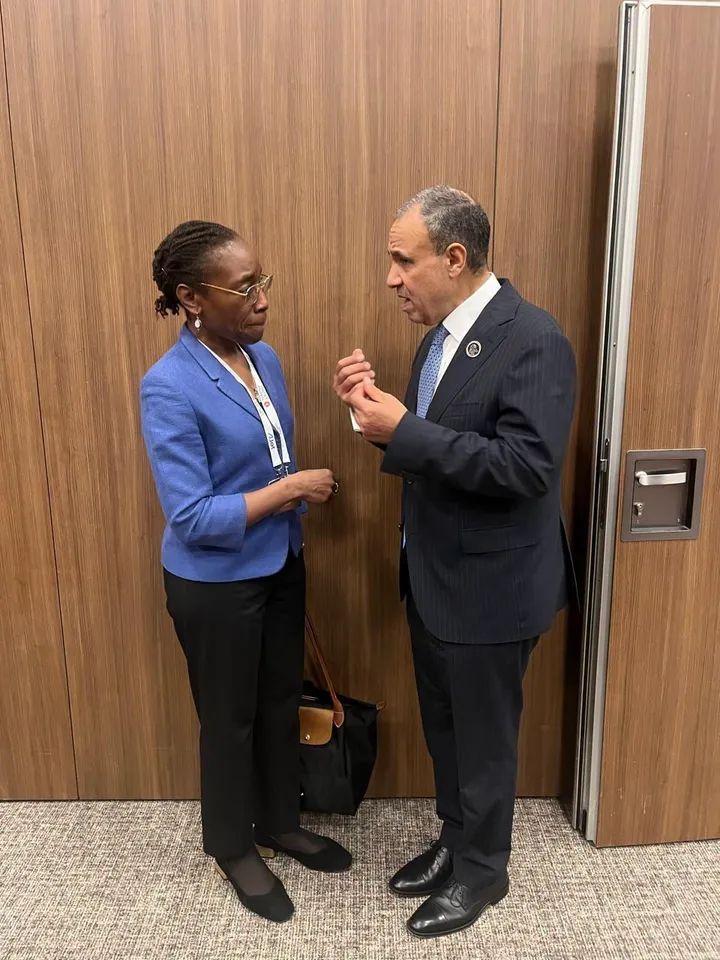 بيان صادر عن وزارة الخارجية والتعاون الدولي والمصريين بالخارج: