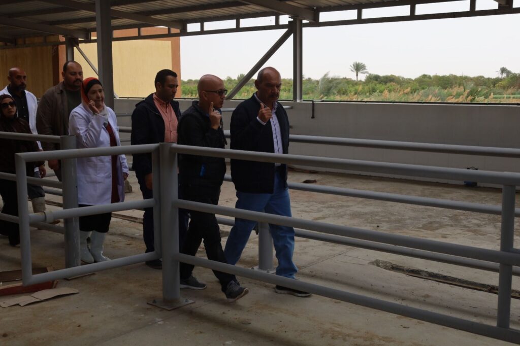 img-20260401-wa01098371331285090426493-1024x682 محافظ السويس يتابع اعمال تطوير المجزر الآلي بقرية الألبان الجديدة بحي فيصل