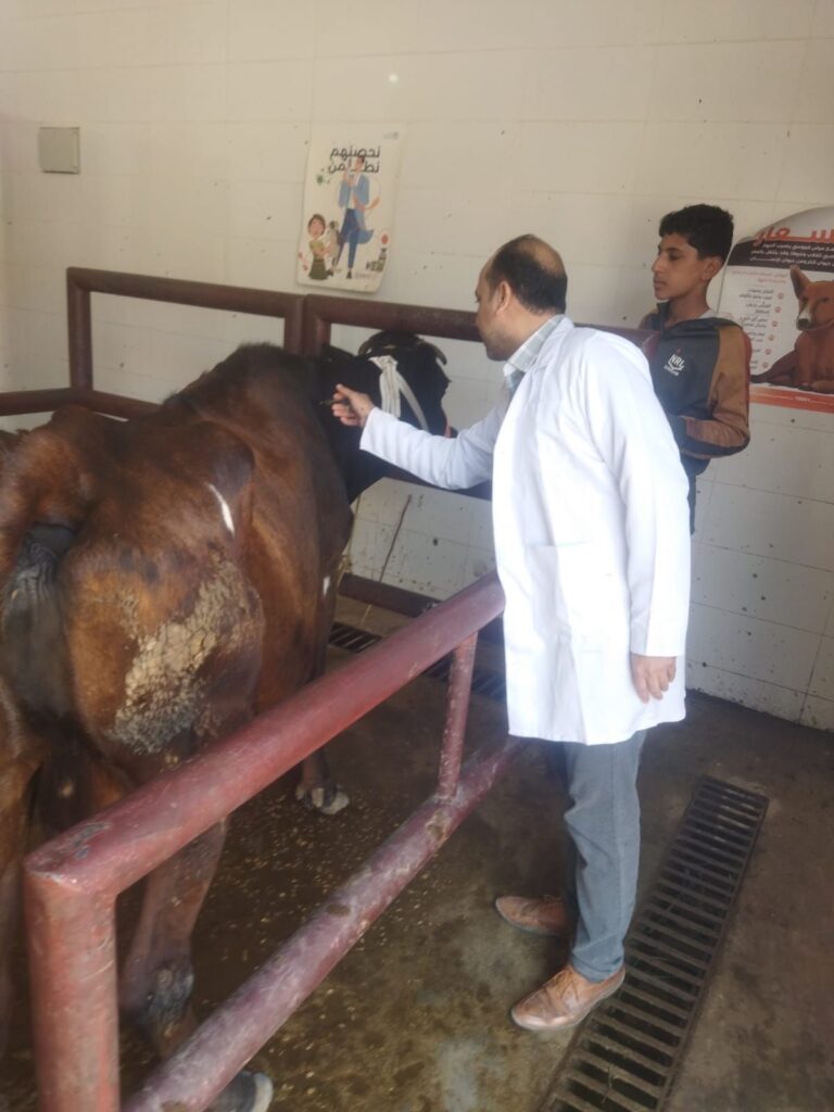 img-20260417-wa00183807255646683263915-768x1024 محافظ الجيزة: تحصين أكثر من 176 ألف رأس ماشية ضمن الحملة القومية للتحصين ضد مرضي الجلد العقدي وجدري الضأن خلال 3 أسابيع