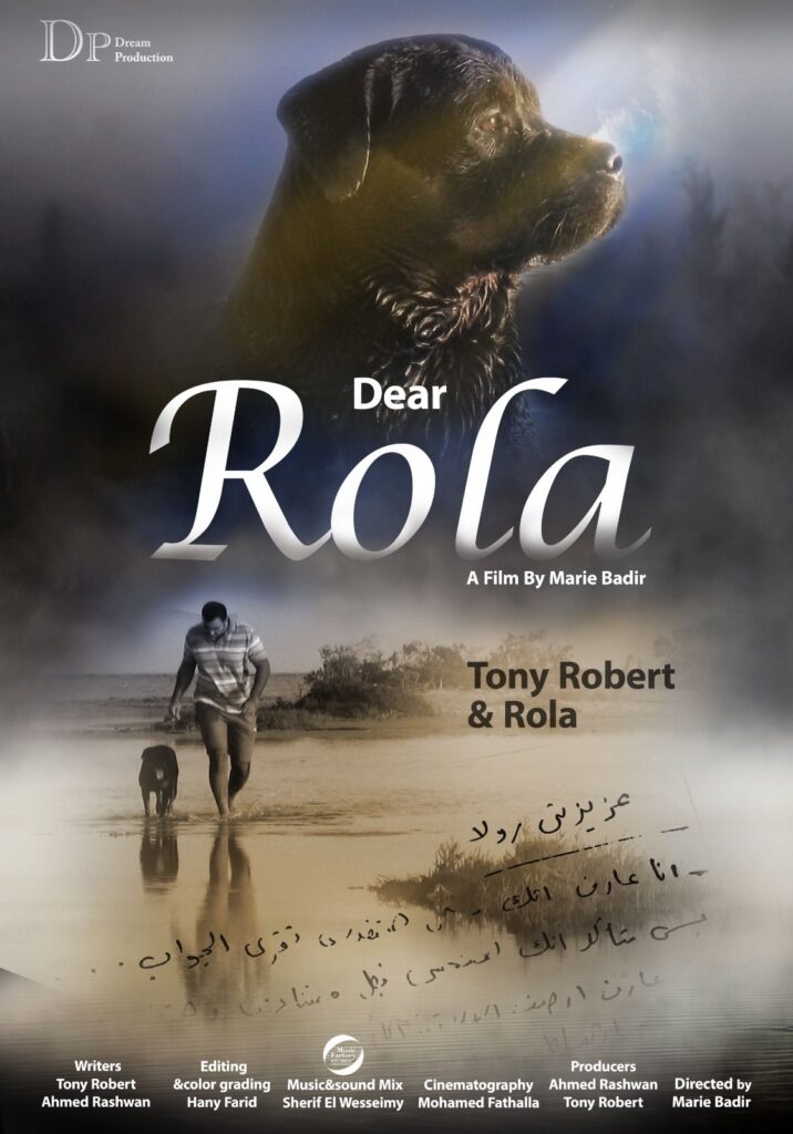 img-20260423-wa01118646420369738266906-716x1024 أطياف من السينما المستقلة" ..التعاون الأول بين حتحور وصندوق والتنمية الثقافية وشركة&nbsp; " I am a film "