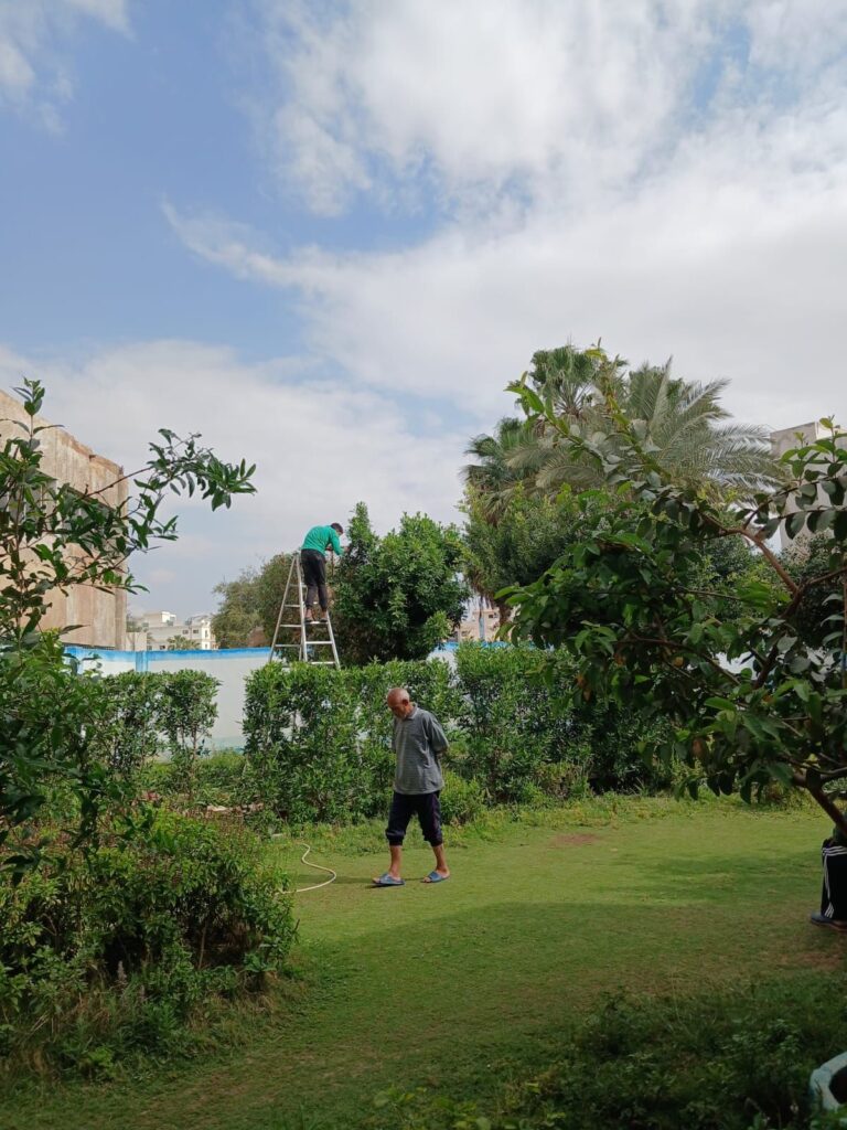 img-20260427-wa00717737567049144664991-768x1024 جهاز التجميل والحدائق بالسويس يعيد تحسين الشكل العام لدار كبار بلا مأوي