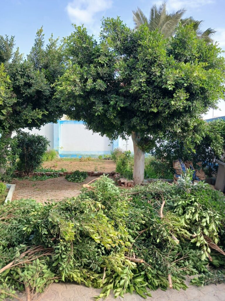 img-20260427-wa00725864317826505909924-768x1024 جهاز التجميل والحدائق بالسويس يعيد تحسين الشكل العام لدار كبار بلا مأوي