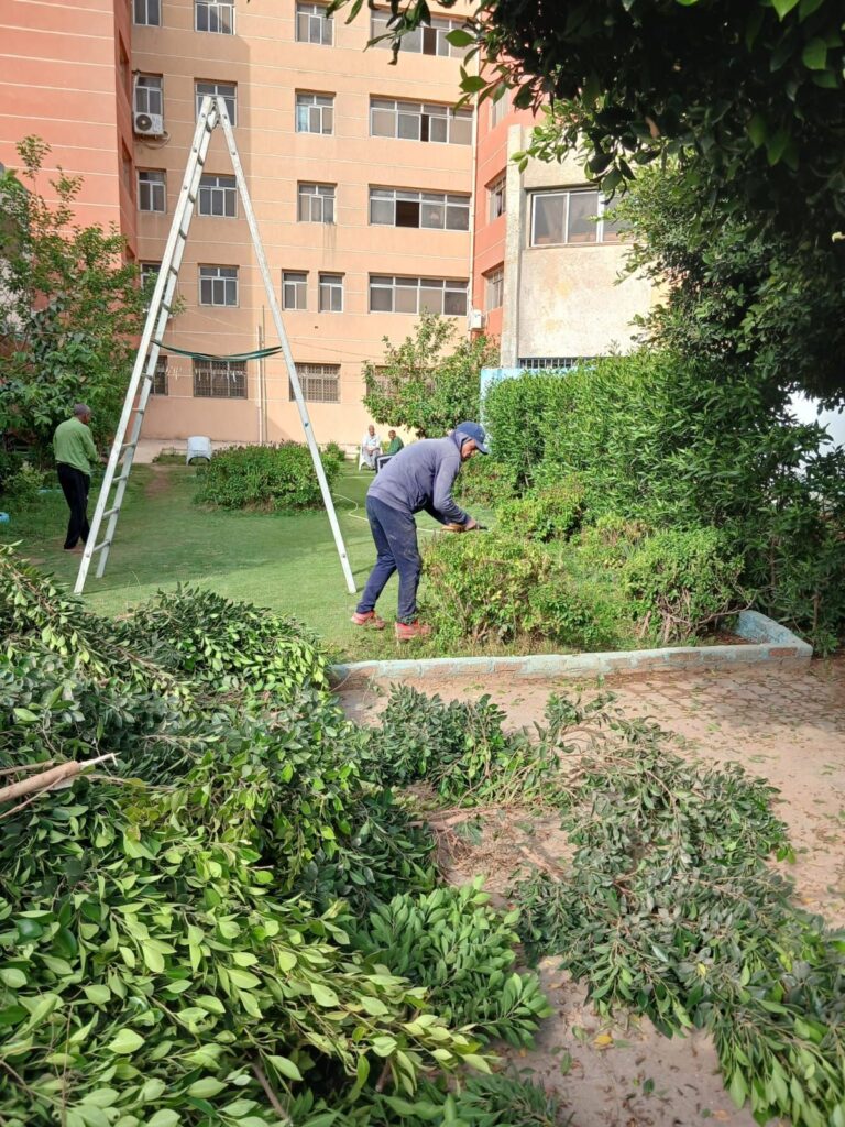 img-20260427-wa0073760361429643866397-768x1024 جهاز التجميل والحدائق بالسويس يعيد تحسين الشكل العام لدار كبار بلا مأوي