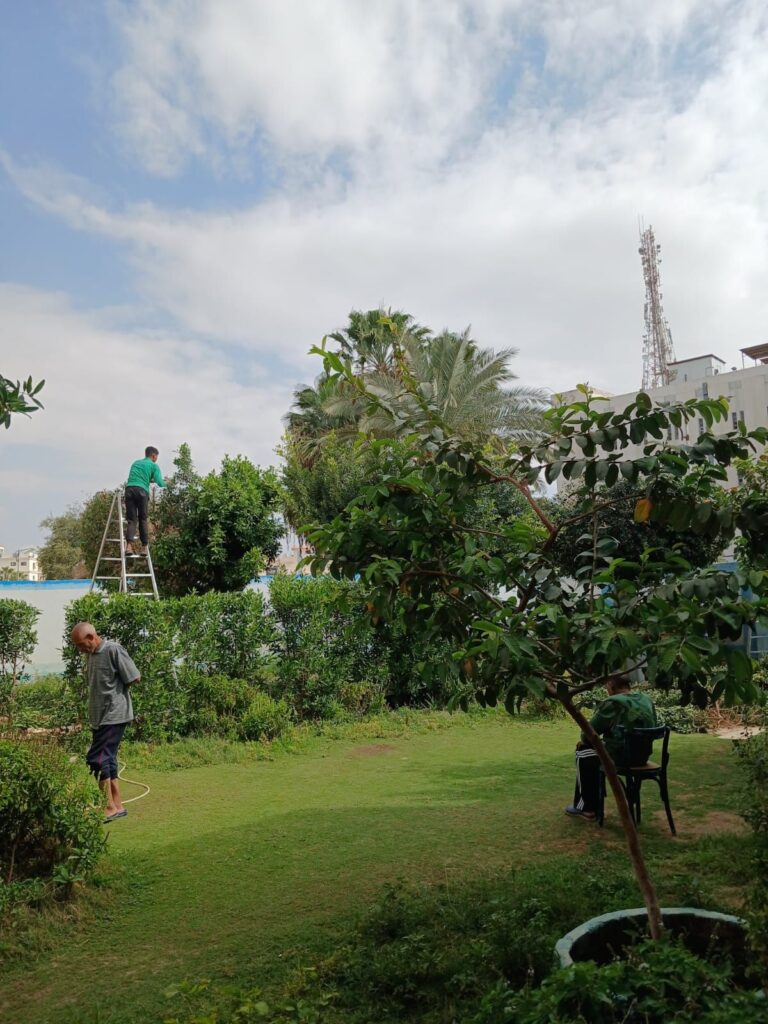 img-20260427-wa00763300714208533437235-768x1024 جهاز التجميل والحدائق بالسويس يعيد تحسين الشكل العام لدار كبار بلا مأوي
