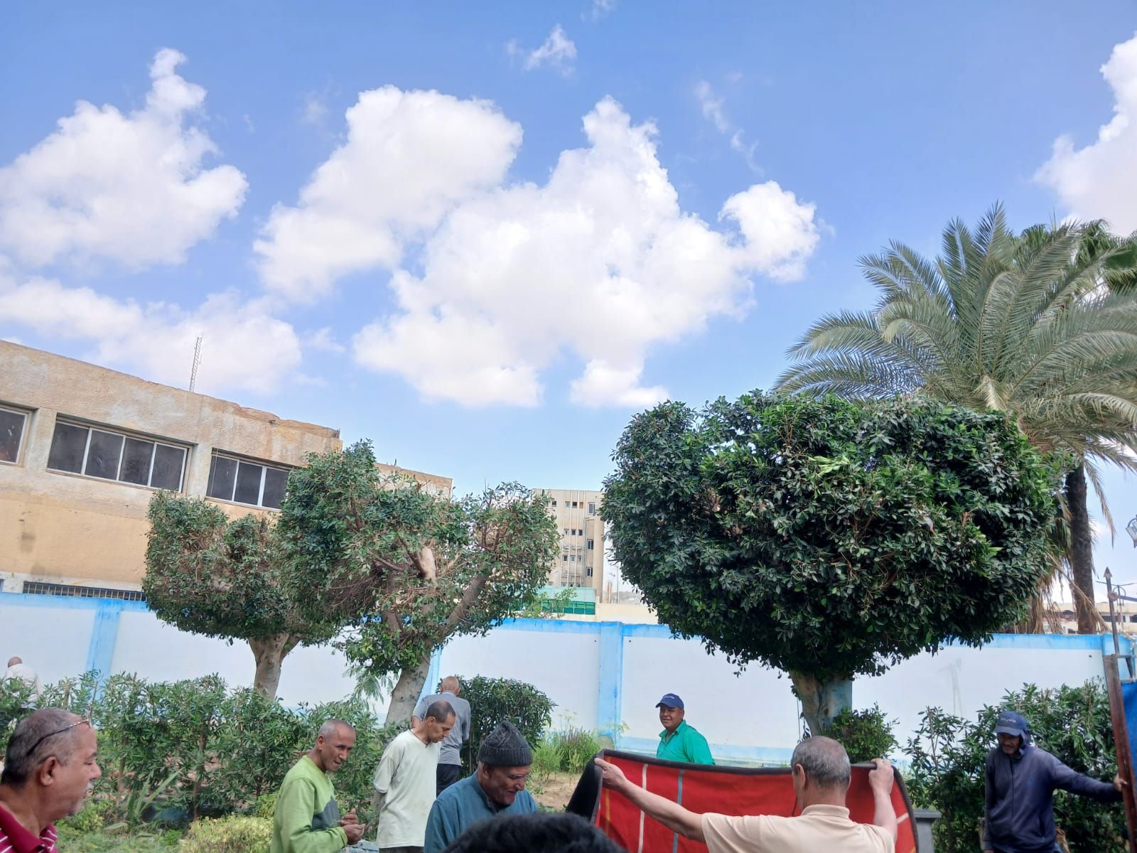 جهاز التجميل والحدائق بالسويس يعيد تحسين الشكل العام لدار كبار بلا مأوي