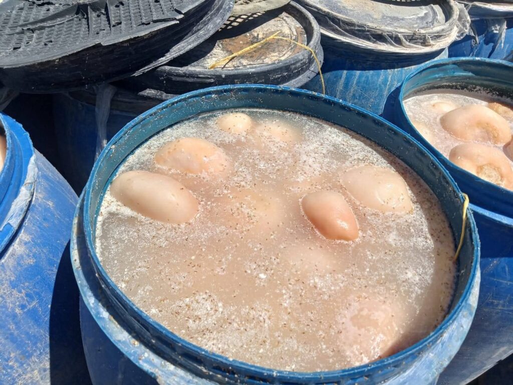 img-20260427-wa00812374770941606171366-1024x768 تموين السويس يقوم بحملة لضبط أطعمة فاسدة داخل الأسواق