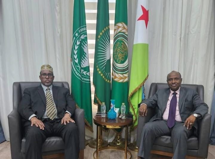 سفير الصومال لدى مصر يبحث مع نظيره الجيبوتي سبل تعزيز الشراكة في القرن الإفريقي