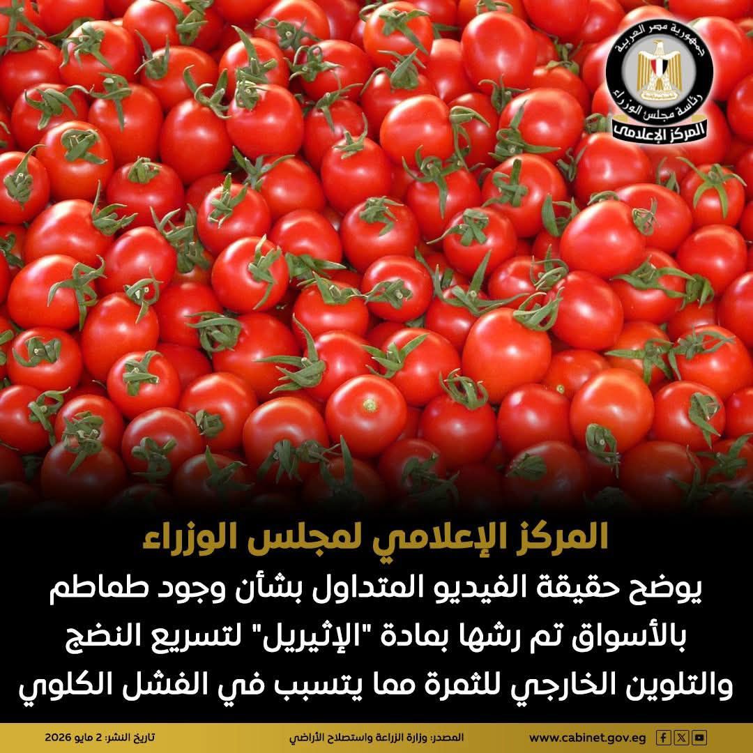 المركز الإعلامي لمجلس الوزراء يوضح حقيقة الفيديو المتداول بشأن وجود طماطم بالأسواق