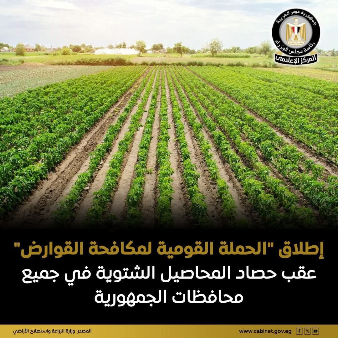 الحملة تمثل إجراءً تنفيذيًا حاسمًا، حيث تسعى