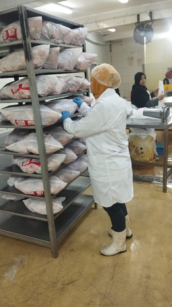 img-20260503-wa00238200819883881430832-576x1024 المحافظ: ذبح أكثر من 2 مليون طائر بالمجازر خلال أسبوع