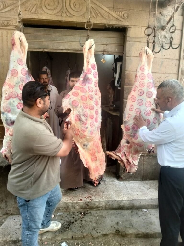 img-20260521-wa01412503141267216335565-768x1024 محافظة الجيزة تضبط 6 أطنان هياكل دواجن ومصنعات لحوم فاسدة وغير صالحة للاستهلاك الآدمي