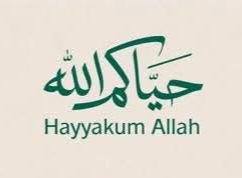 img-20260529-wa00766524818400960128498 المستشار الحبيب النوبي يعزي سفير خادم الحرمين الشريفين في مصر